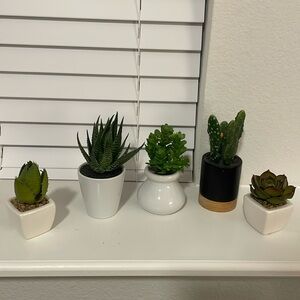 5 cute fake succulent plants (3in- 6in tall)